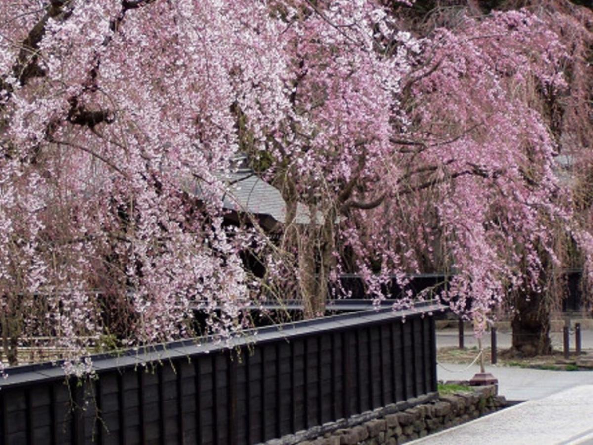 Tamachi Bukeyashiki Hotel - Vacation Stay 20163V Daisen  Экстерьер фото